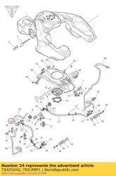 Here you can order the roll over valve from Triumph, with part number T2405042: