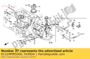 honda 81229MR5000 tape, protector - Bottom side