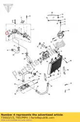 Qui puoi ordinare o anello da Triumph , con numero parte T3600210: