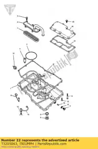 triumph T3205063 bout hhf lghtd m6 x 16 slv - Onderkant