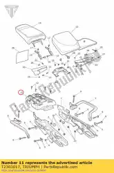 Ici, vous pouvez commander le porte-bagages arrière auprès de Triumph , avec le numéro de pièce T2303017: