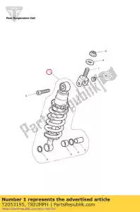 triumph T2053195 rear spring - Plain view