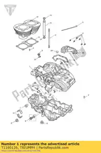 triumph T1160126 behuizing montage mcd - Onderkant