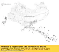 1A0041230A, Piaggio Group, nokkenas cpl. 
