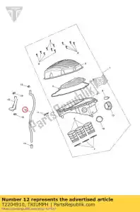 triumph T2204910 hose, airbox drain - Bottom side