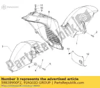 59828900F2, Piaggio Group, Guarda-lamas     , Novo