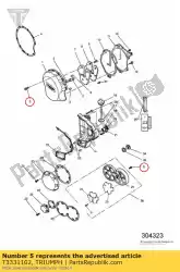 Aqui você pode pedir o parafuso, hhf, m6 x 25, s / s em Triumph , com o número da peça T3331102: