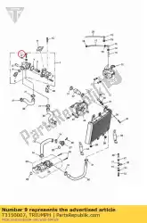 Qui puoi ordinare bullone da Triumph , con numero parte T3150007: