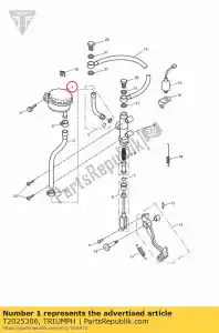 triumph T2025306 serbatoio m/cil posteriore - Il fondo