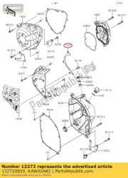 Here you can order the plate from Kawasaki, with part number 132720859: