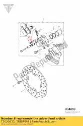 Here you can order the hanger pin set from Triumph, with part number T2020933: