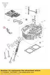 Here you can order the heat bar & rubber assyright from Triumph, with part number T1150069: