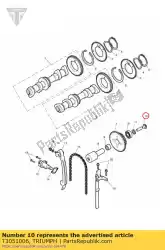 bout but/hd skt m8 x 35 raw van Triumph, met onderdeel nummer T3051006, bestel je hier online: