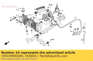 Honda 19503MERD00 mangueira, radiador inferior - Lado inferior