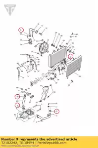 triumph T2102242 grampo de mangueira 23-35 brilhante ss - Lado inferior