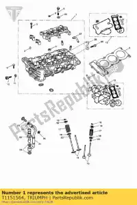 Triumph T1151564 cyl head assy, 3 cyl, sai - Bottom side