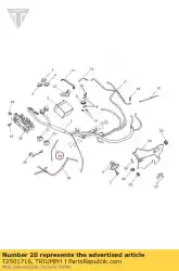 Tutaj możesz zamówić przewód ?? Cz? Cy, czujnik tlenu od Triumph , z numerem części T2501716: