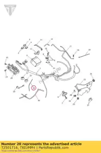 triumph T2501716 przewód ??cz?cy, czujnik tlenu - Dół