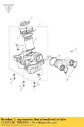 Qui puoi ordinare gruppo airbox da Triumph , con numero parte T2209538: