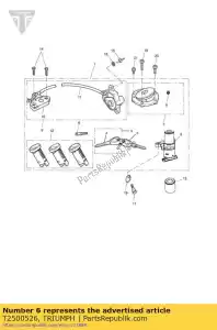 triumph T2500526 clé, vide, alarme - La partie au fond