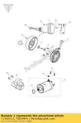 Ici, vous pouvez commander le rotor, alternateur, terres rares auprès de Triumph , avec le numéro de pièce T1300113: