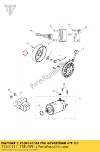 triumph T1300113 rotor, alternateur, terres rares - La partie au fond