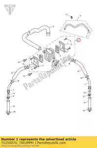 triumph T1250070 zespó? zaworu - Dół