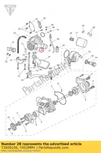 triumph T3600106 o-ring 24 x 2.5 - Onderkant