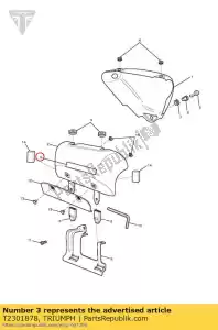 triumph T2301878 decalcomanie lateralicr - Il fondo