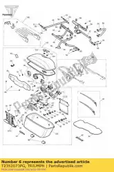 bagagedrager gelakt van Triumph, met onderdeel nummer T2352073PG, bestel je hier online: