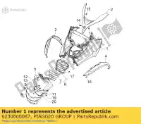 6230600087, Piaggio Group, escudo     , Novo