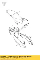 Aqui você pode pedir o t2307591-cw painel traseiro lh em Triumph , com o número da peça T2307591CW: