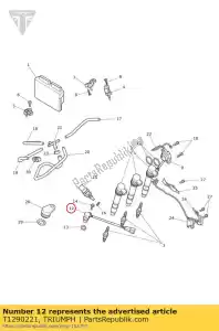 triumph T1290221 sensor, road speed - Bottom side