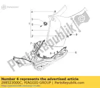 298523000C, Piaggio Group, poggiapiedi gilera piaggio nrg ntt storm typhoon 50 125 1995 1998 1999 2000 2003 2006 2007 2009, Nuovo