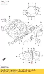 Here you can order the bolt,st cl cov from Suzuki, with part number 0910306214: