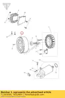 T1300058, Triumph, rotore dell'alternatore triumph daytona 675 from vin 564948 daytona 675r from vin 564948 street triple from vin 560477 street triple r from vin 560477 675 2013 2014 2015 2016, Nuovo