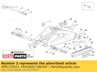 AP8135923, Piaggio Group, rear swing arm pin aprilia  caponord etv rst rsv 1000 1998 1999 2001 2002 2003 2004 2005, New