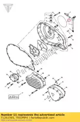 Aquí puede pedir finalizador de planchas de Triumph , con el número de pieza T1261595: