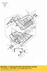 Aquí puede pedir kit de cárter de Triumph , con el número de pieza T1160602: