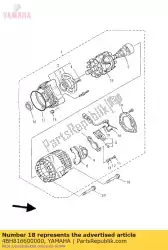 Here you can order the rotor assy from Yamaha, with part number 4BH816600000: