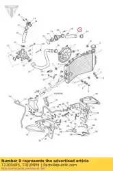 Aquí puede pedir manguera cabeza cilíndrica al radiador de Triumph , con el número de pieza T2100485: