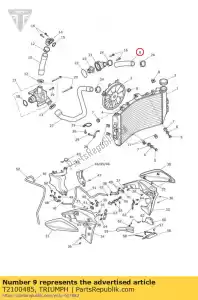 triumph T2100485 manguera cabeza cilíndrica al radiador - Lado inferior