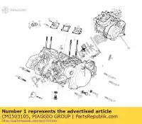 CM1503105, Piaggio Group, Basamento del carter aprilia derbi  gpr rs rs4 zd4tk0008, zd4vx000, zd4tk0000 50 2009 2010 2011 2012 2013 2014 2016 2017, Nuovo