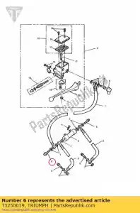 triumph T3250019 bolt, banjo, m10x1.25x31 - Bottom side