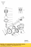 T1210808, Triumph, kit de engranajes triumph adventurer > 71698 adventurer 71699 > daytona 595 / 955i daytona1200, 900 & super iii legend tt speed triple (carbs) speed triple 885cc955cc (efi) > 141871 sprint carbs sprint carbs all sprint rs > 139276 sprint st > 139276 thun, Nuevo