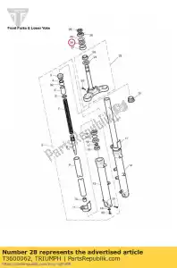 triumph T3600062 sello de polvo dia 47 - Lado inferior