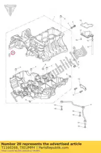 triumph T1160268 tourillon, od 14.0mm - La partie au fond