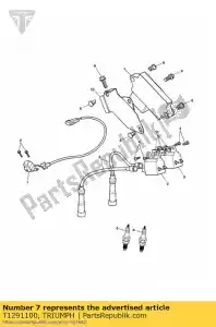triumph T1291100 jednostka steruj?ca - Dół