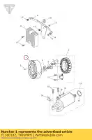 T1300182, Triumph, alternator rotor triumph daytona 675 from vin 564948 daytona 675r from vin 564948 street triple from vin 560477 street triple r from vin 560477 675 2013 2014 2015 2016, New