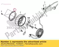 30291MKSE00, Honda, pulsador de manivela de placa honda  1100 2020, Nuevo